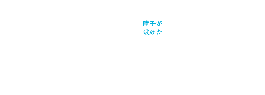 障子が破けた